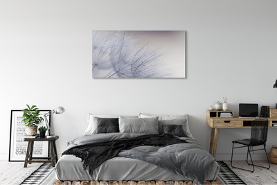 Quadro em tela Gotas de orvalho dente-de-leão