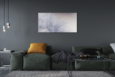 Quadro em tela Gotas de orvalho dente-de-leão