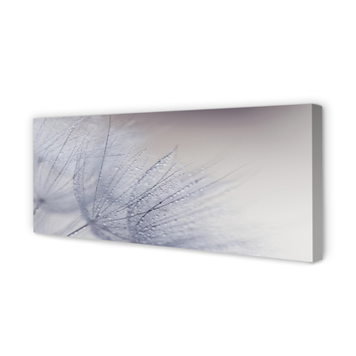 Quadro em tela Gotas de orvalho dente-de-leão