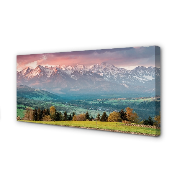 Pintura em tela Montanhas do campo