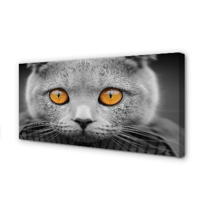 Quadro em tela Gato britânico cinza