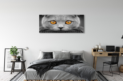 Quadro em tela Gato britânico cinza
