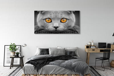 Quadro em tela Gato britânico cinza