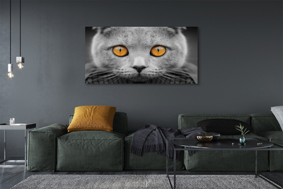Quadro em tela Gato britânico cinza