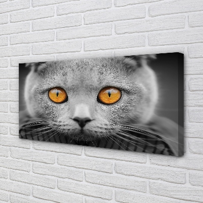Quadro em tela Gato britânico cinza