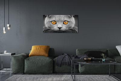 Quadro em tela Gato britânico cinza