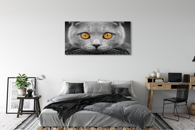 Quadro em tela Gato britânico cinza