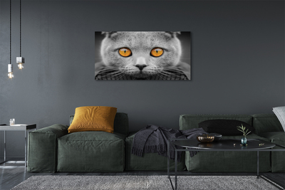 Quadro em tela Gato britânico cinza