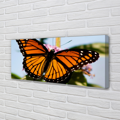 Quadro em tela Borboleta colorida