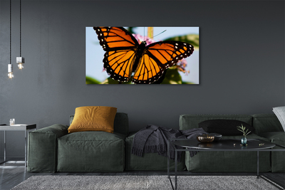 Quadro em tela Borboleta colorida