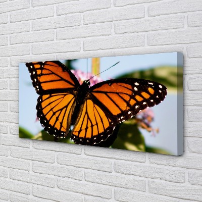 Quadro em tela Borboleta colorida