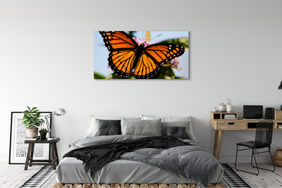 Quadro em tela Borboleta colorida