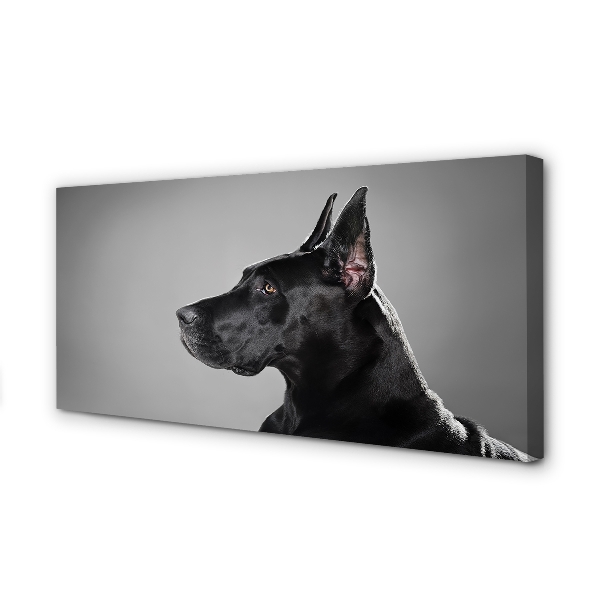 Pintura em tela Cachorro preto