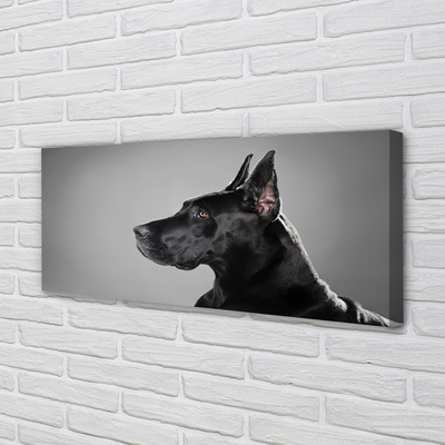 Pintura em tela Cachorro preto