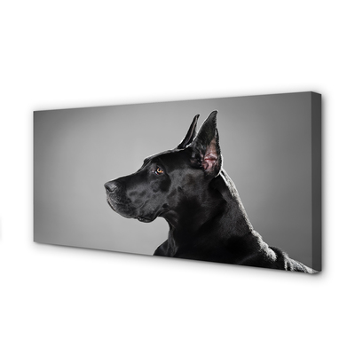 Pintura em tela Cachorro preto