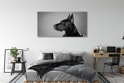 Pintura em tela Cachorro preto