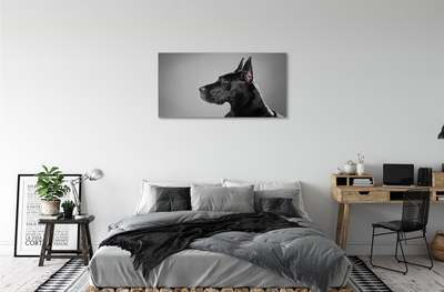 Pintura em tela Cachorro preto