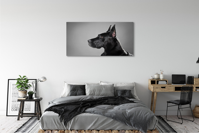 Pintura em tela Cachorro preto