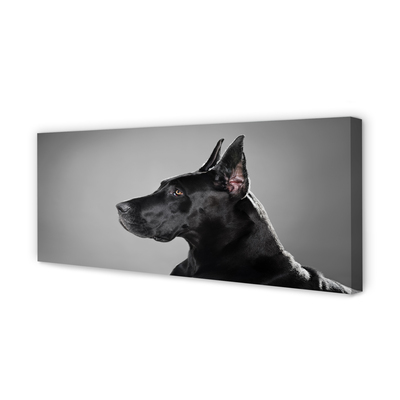 Pintura em tela Cachorro preto