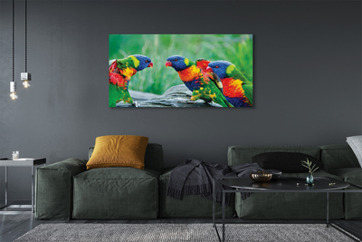 Pintura em tela Árvore papagaio colorida