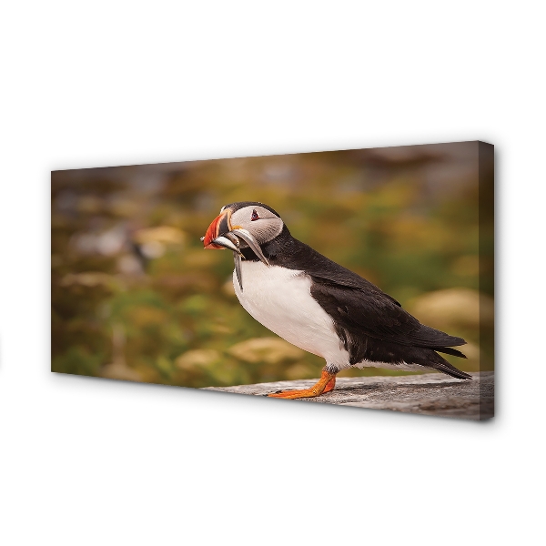 Pintura em tela Papagaio