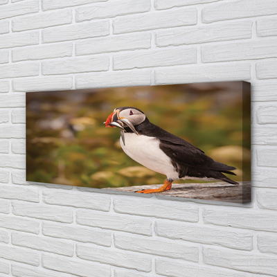 Pintura em tela Papagaio