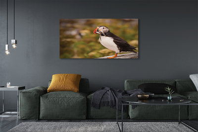 Pintura em tela Papagaio