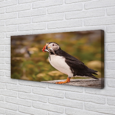 Pintura em tela Papagaio