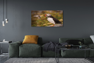 Pintura em tela Papagaio