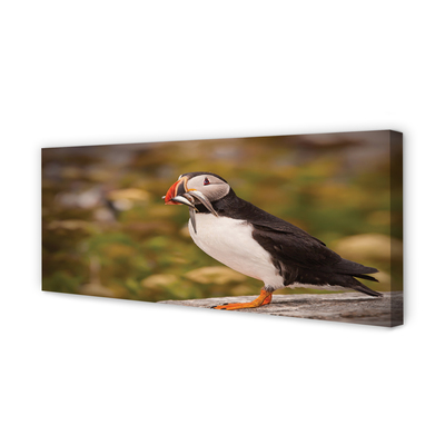 Pintura em tela Papagaio