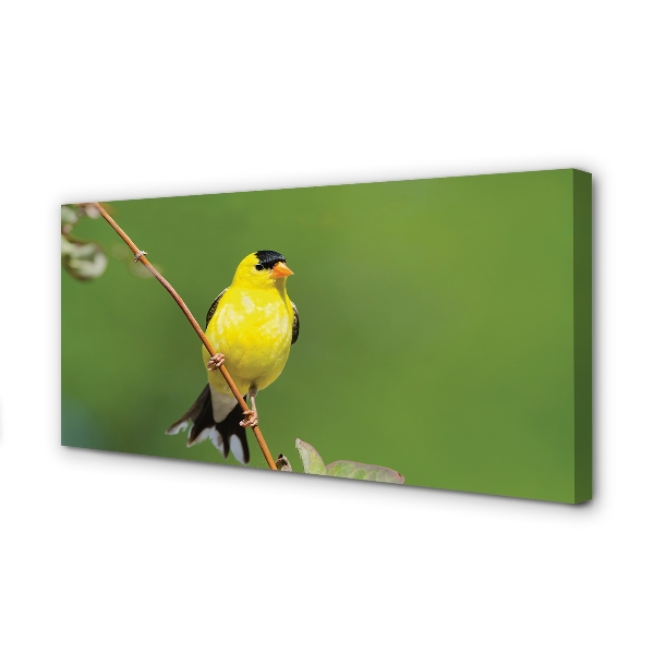 Quadro em tela Papagaio amarelo