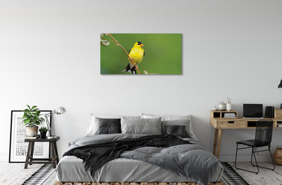 Quadro em tela Papagaio amarelo