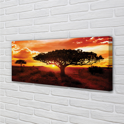 Quadro em tela Árvores nuvens pôr do sol