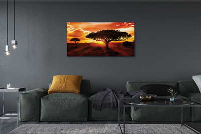 Quadro em tela Árvores nuvens pôr do sol