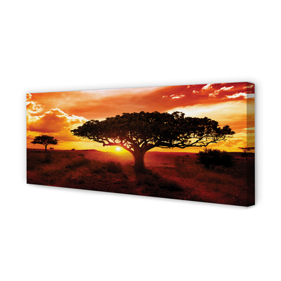 Quadro em tela Árvores nuvens pôr do sol