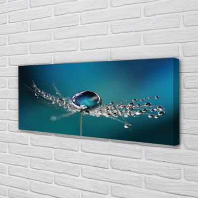 Pintura em tela Macro de gotas de dente-de-leão