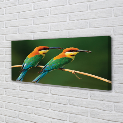 Pintura em tela Papagaios coloridos em um galho