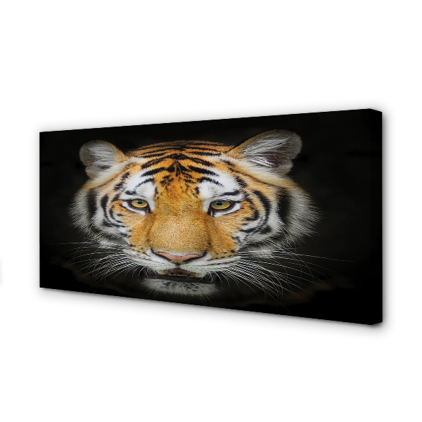 Quadro em tela Tigre