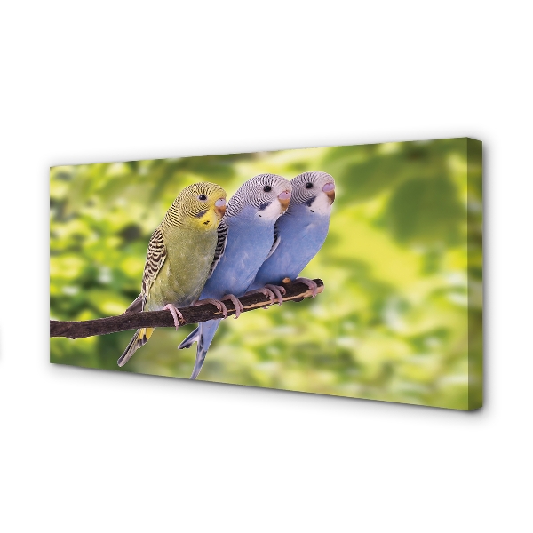 Quadro em tela Papagaios coloridos em um galho