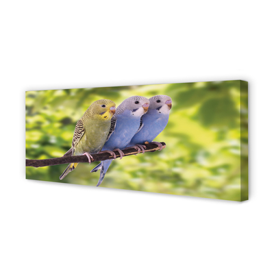 Quadro em tela Papagaios coloridos em um galho