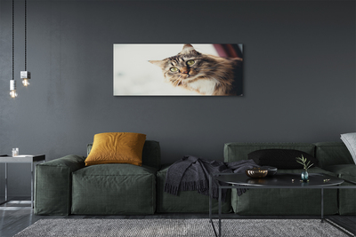 Pintura em tela Gato Maine Coon