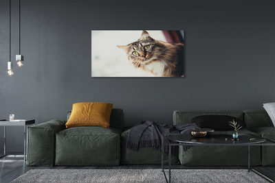 Pintura em tela Gato Maine Coon