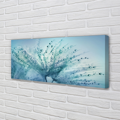 Quadro em tela Macro de gotas de dente-de-leão