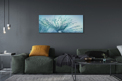 Quadro em tela Macro de gotas de dente-de-leão