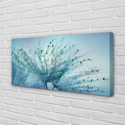 Quadro em tela Macro de gotas de dente-de-leão