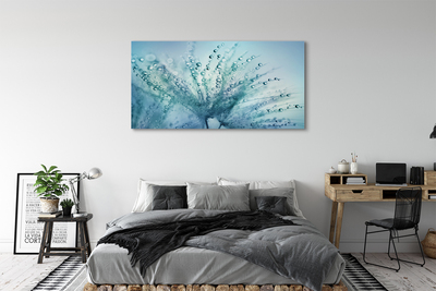 Quadro em tela Macro de gotas de dente-de-leão