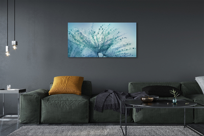 Quadro em tela Macro de gotas de dente-de-leão