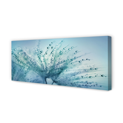 Quadro em tela Macro de gotas de dente-de-leão