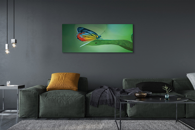 Pintura em tela Borboleta de folha colorida