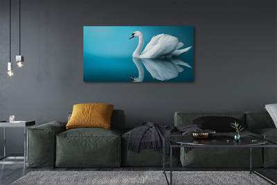 Quadro em tela Cisne na água